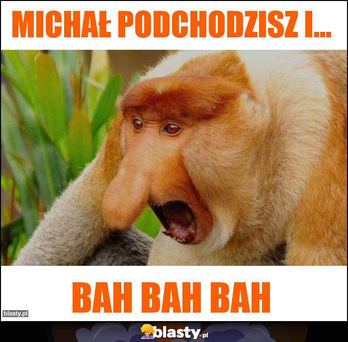 Michał podchodzisz i...