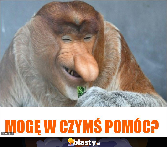 Mogę w czymś pomóc?