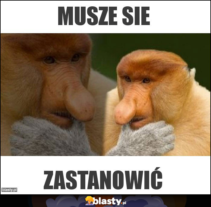 MUSZE SIE