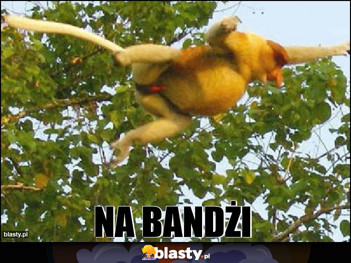 Na bandżi