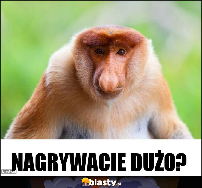 Nagrywacie dużo?