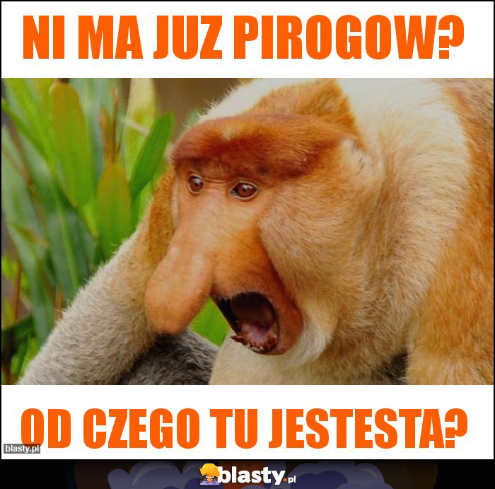 ni ma juz pirogow?