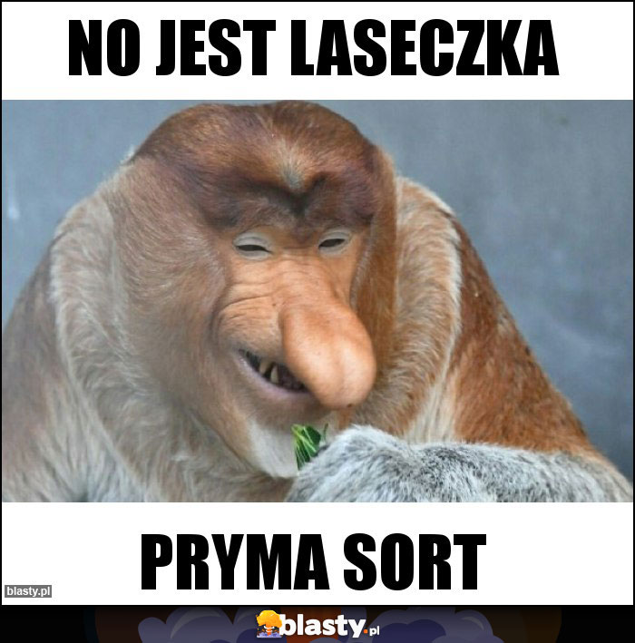 No jest laseczka