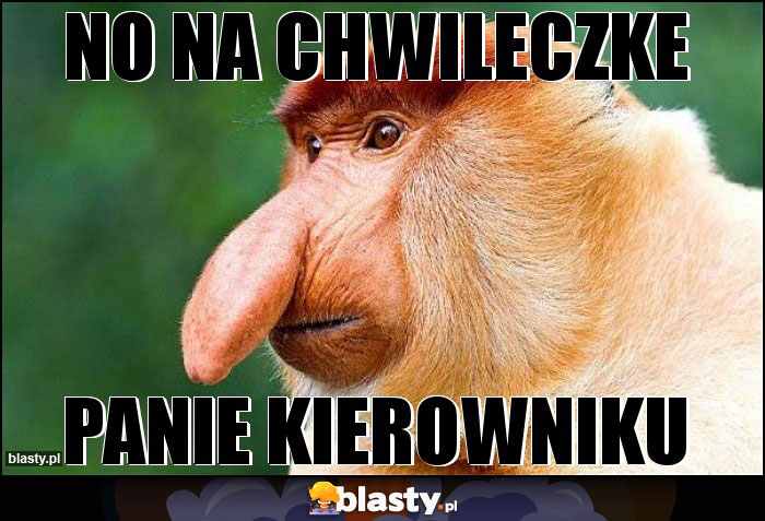 No na chwileczke