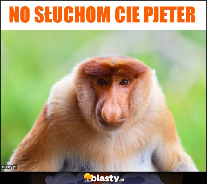 No słuchom cie pjeter