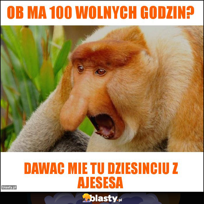 OB ma 100 wolnych godzin?