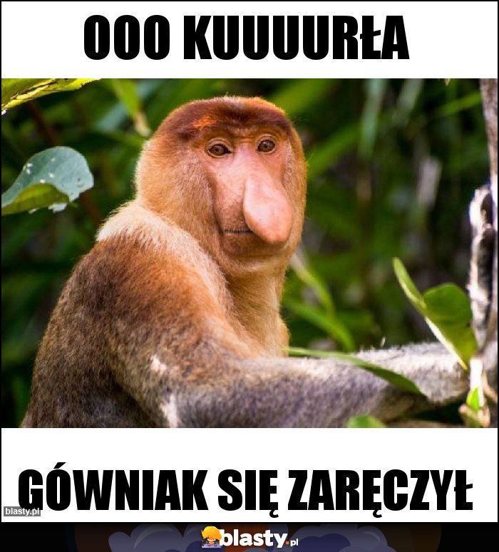 OOO Kuuuurła