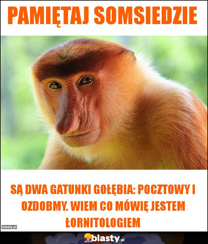 Pamiętaj Somsiedzie