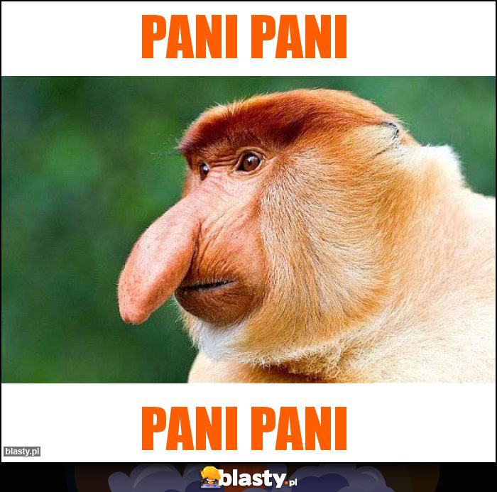 PANI PANI