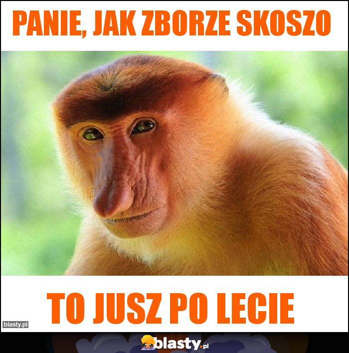 panie, jak zborze skoszo