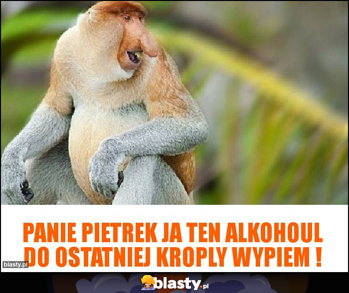 Panie Pietrek ja ten alkohoul do ostatniej kroply wypiem !