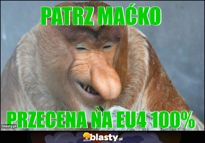 PATRZ MAĆKO