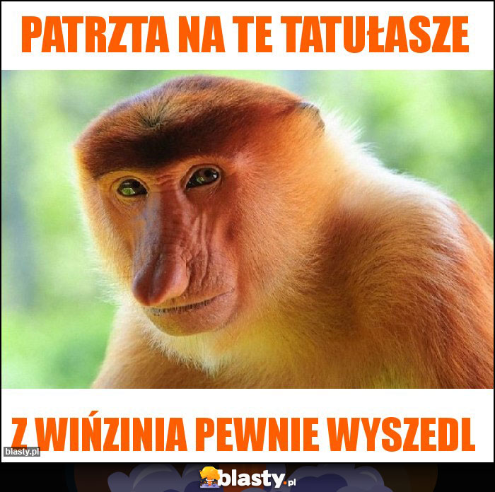 Patrzta na te tatułasze