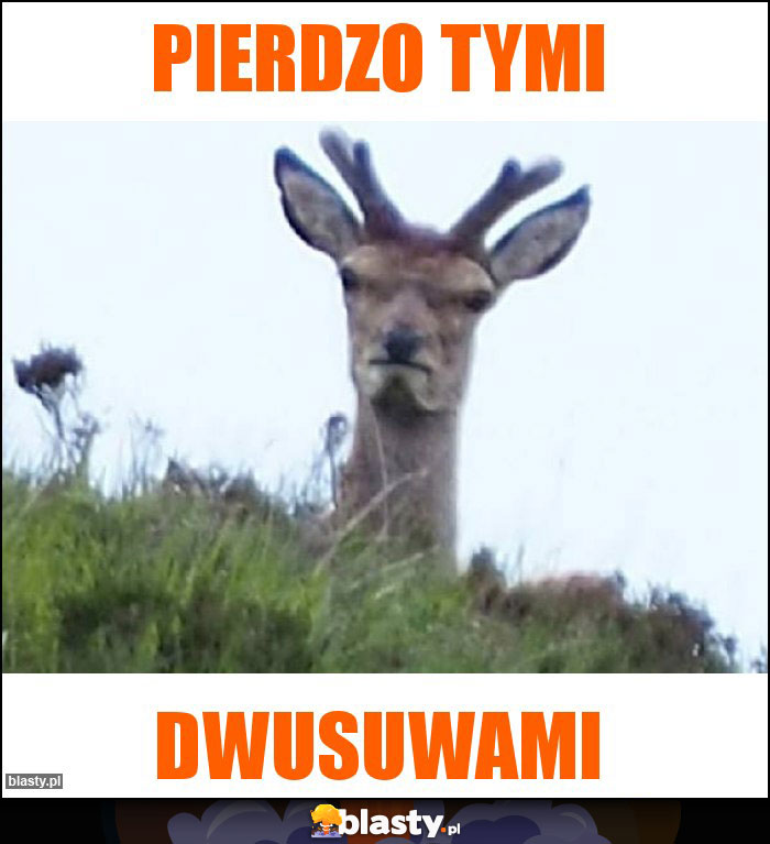 Pierdzo tymi