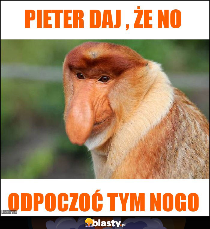 Pieter daj , że no