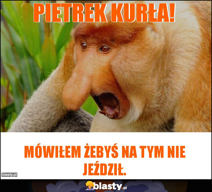 Pietrek kurła!