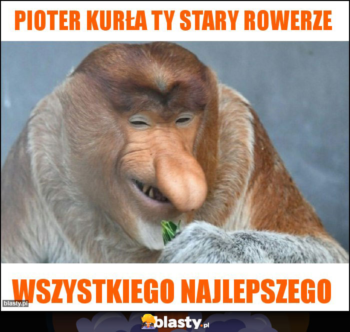 Pioter kurła ty stary rowerze