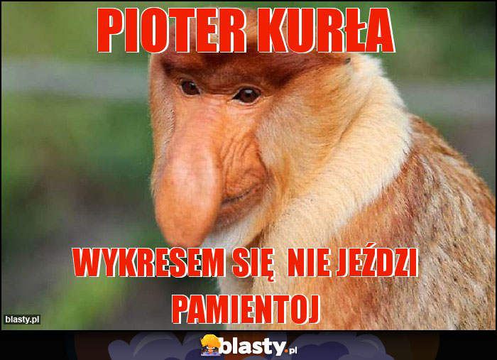 Pioter KURŁA