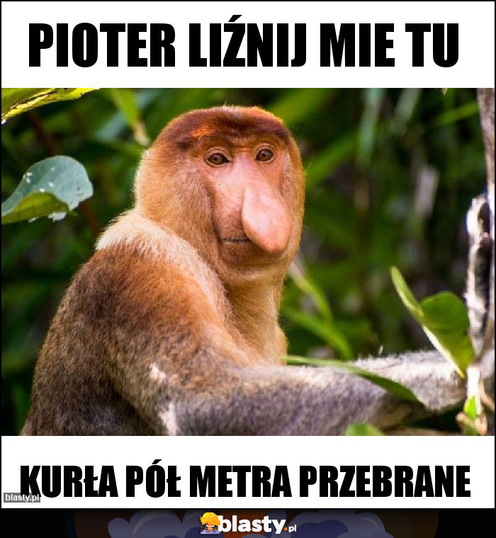 Pioter liźnij mie tu