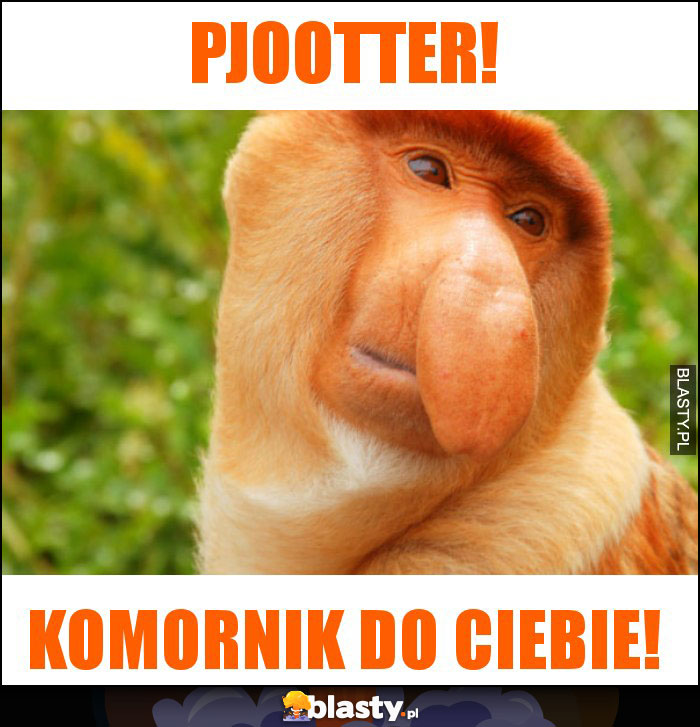 Pjootter!