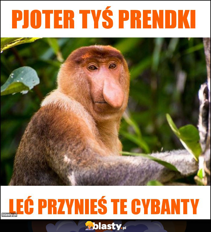 Pjoter tyś prendki