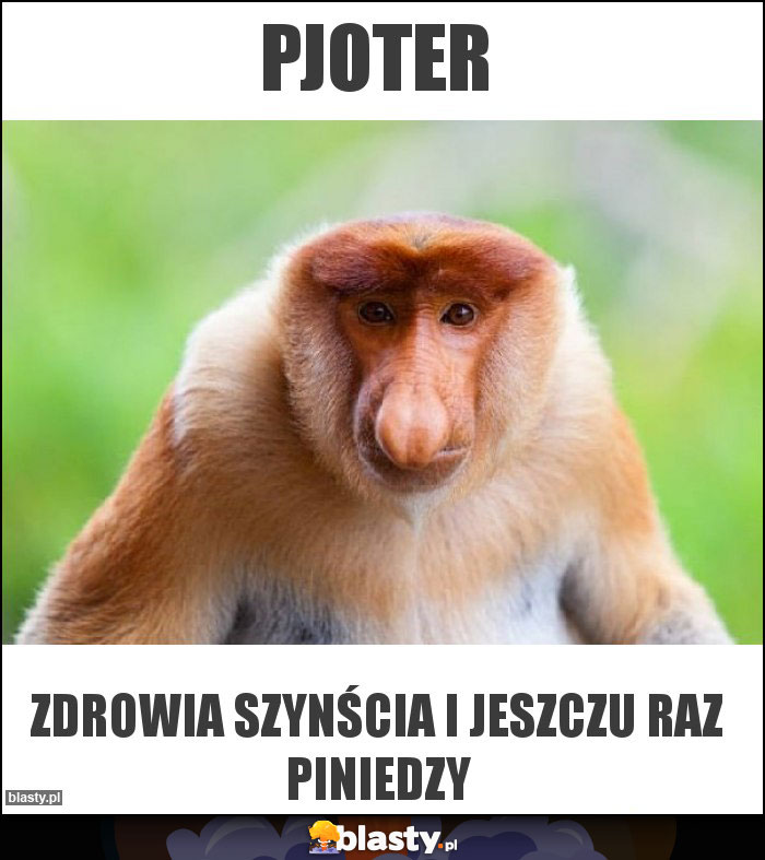 Pjoter