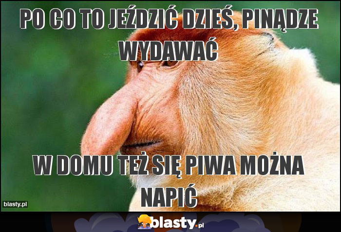 PO CO TO JEŹDZIĆ DZIEŚ, PINĄDZE WYDAWAĆ