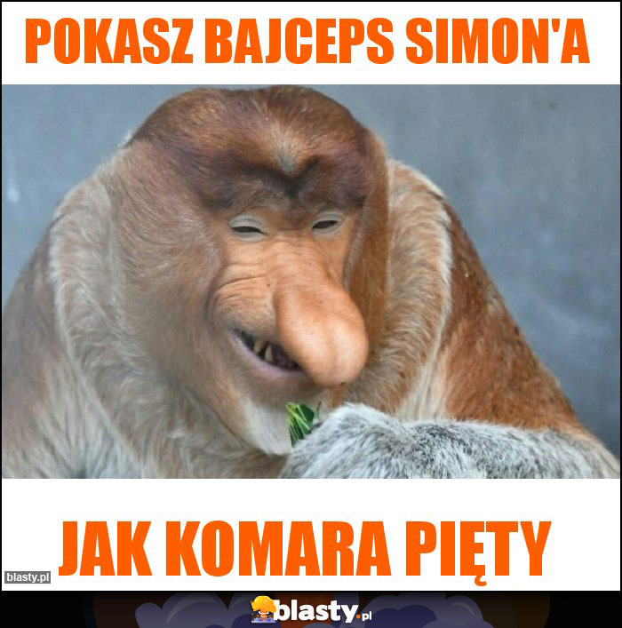 POKASZ BAJCEPS SIMON'A