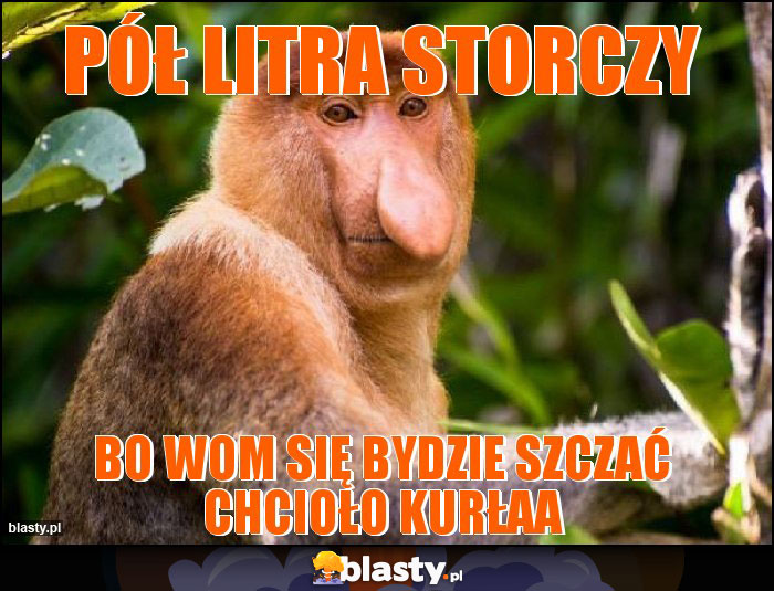 Pół litra storczy