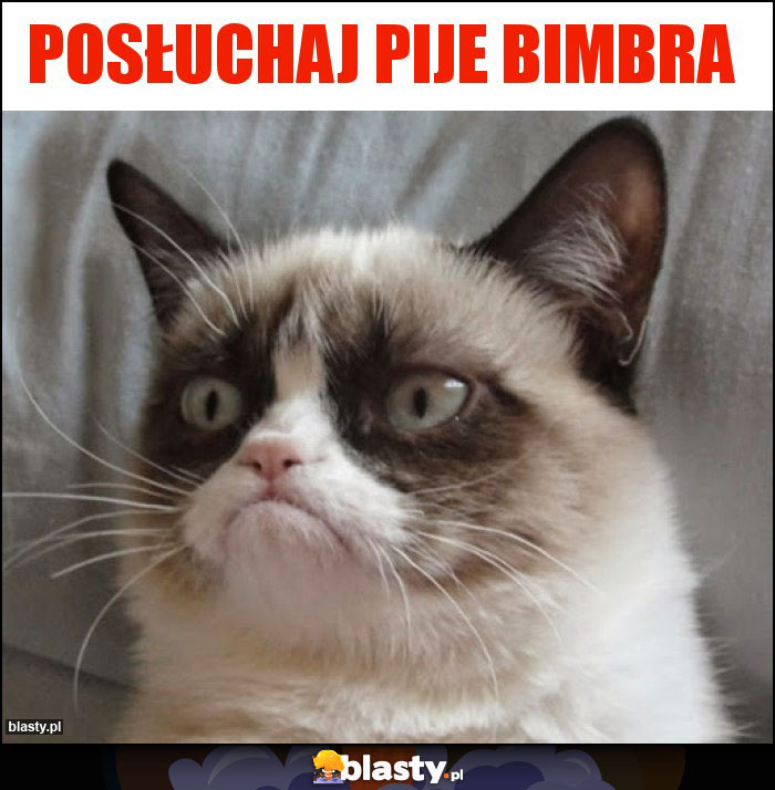 Posłuchaj pije bimbra