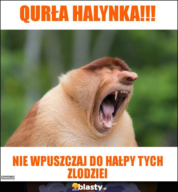 Qurła Halynka!!!