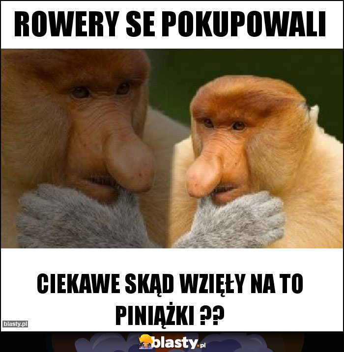 Rowery se pokupowali