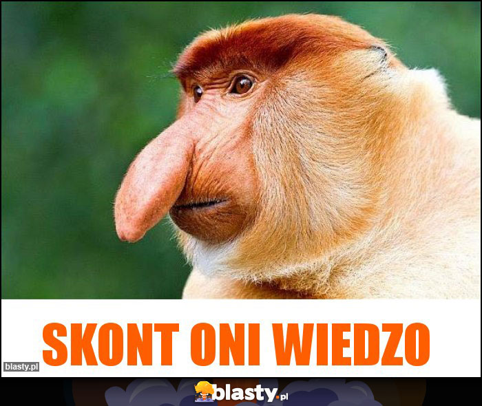 SKONT ONI WIEDZO