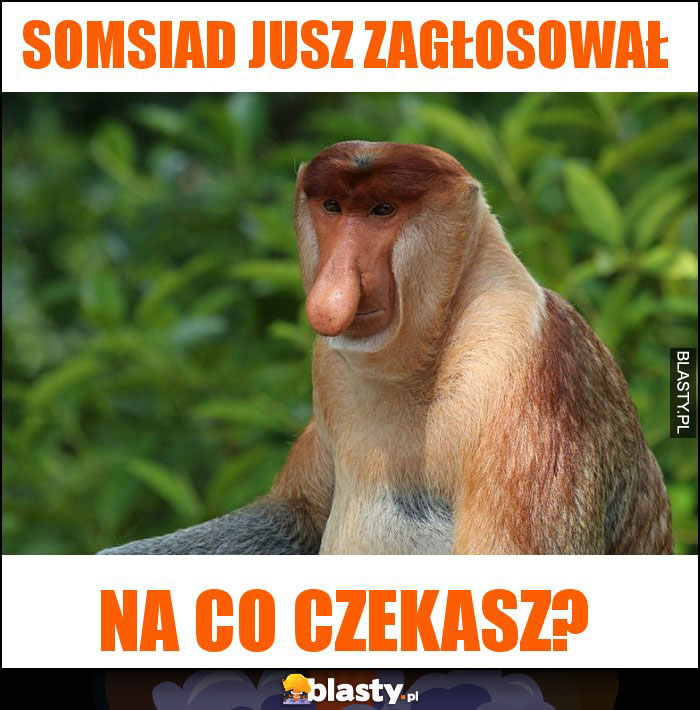 Somsiad jusz zagłosował