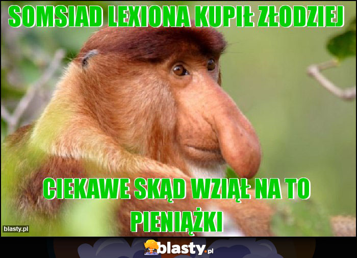 Somsiad lexiona kupił złodziej