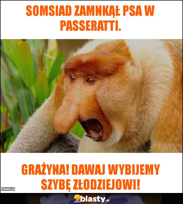 Somsiad zamnkął psa w passeratti.