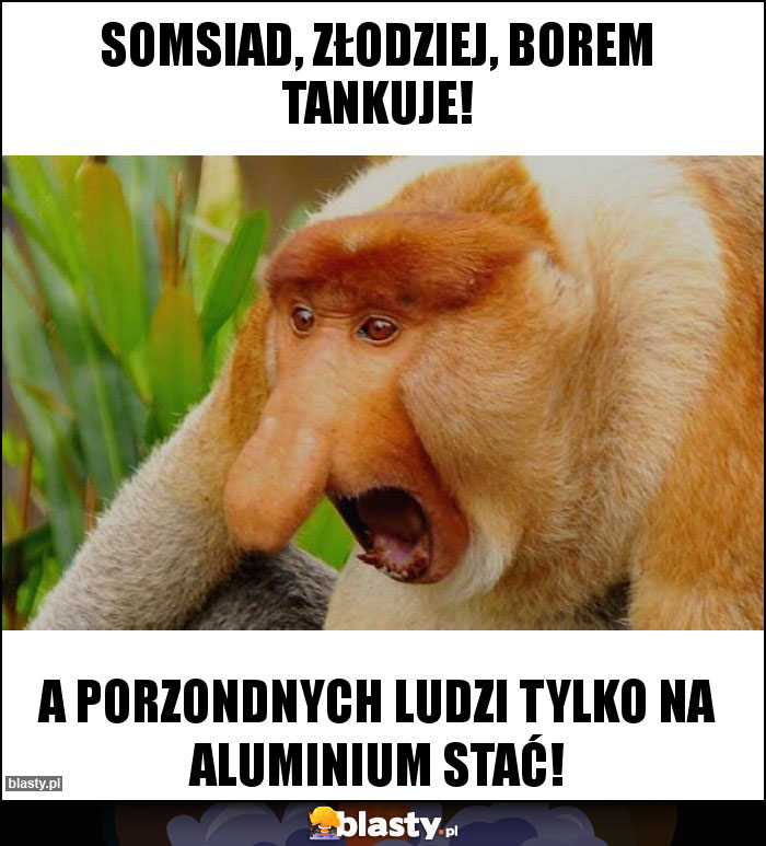 Somsiad, złodziej, borem tankuje!