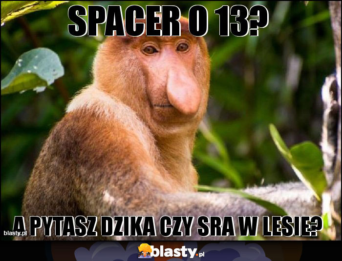 Spacer o 13?