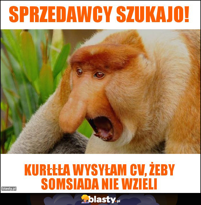 Sprzedawcy szukajo!