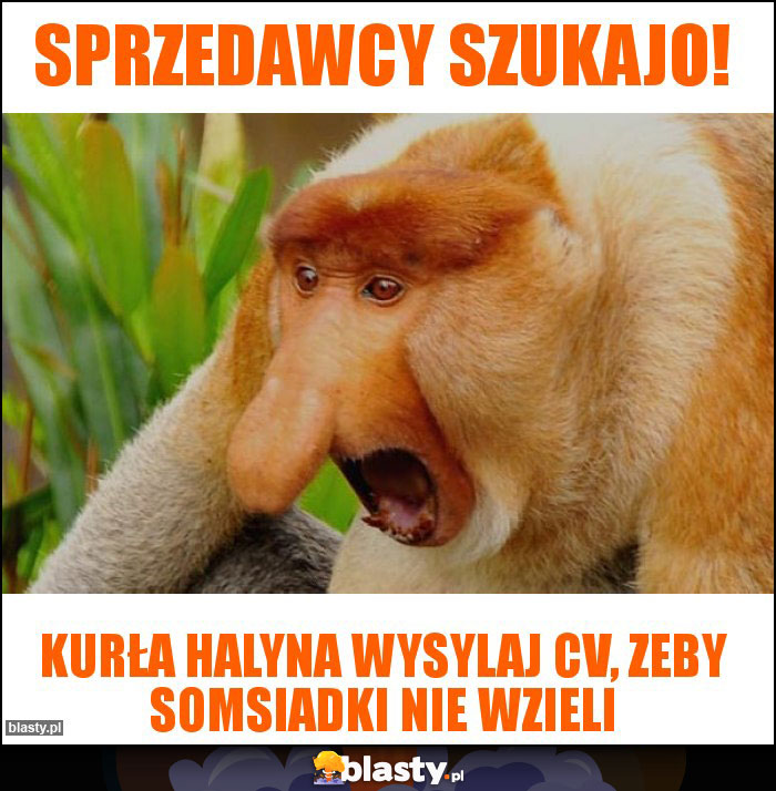 Sprzedawcy szukajo!