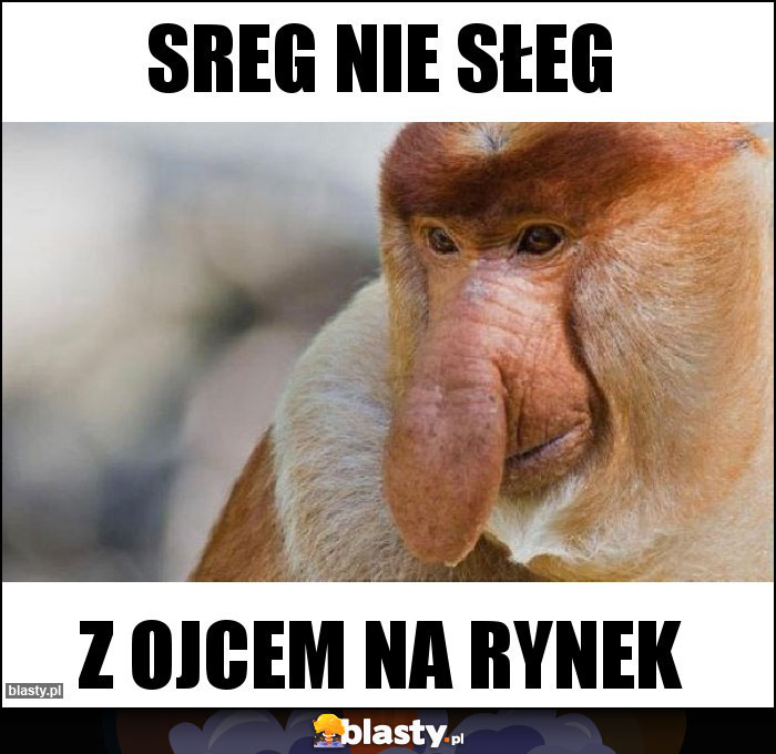 Sreg nie słeg