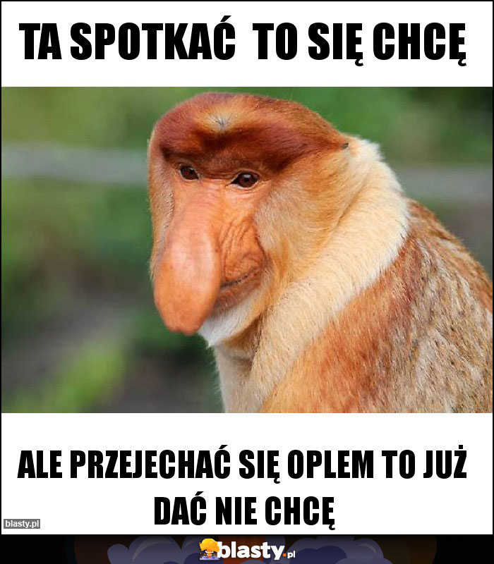 TA SPOTKAĆ  TO SIĘ CHCĘ