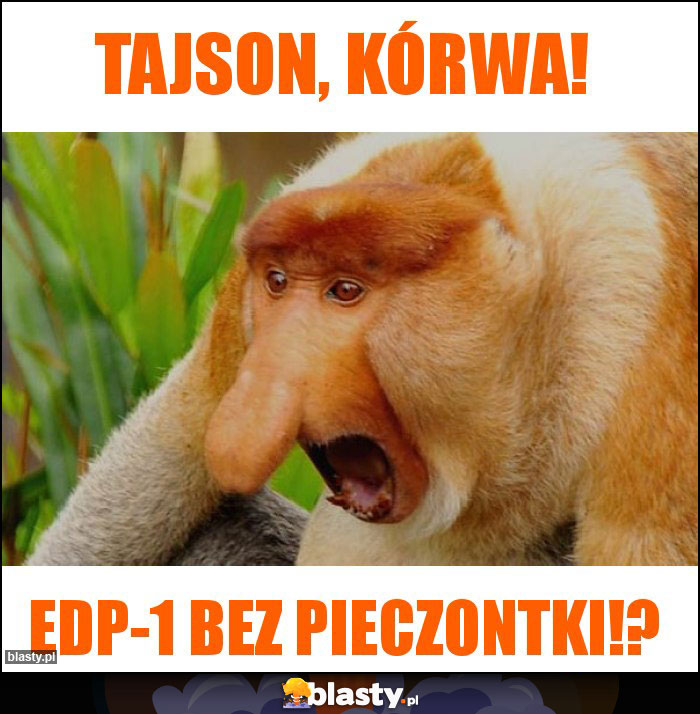 TAJSON, KóRWA!