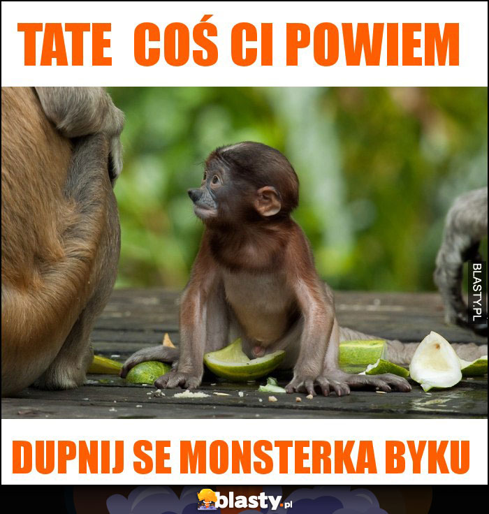 TATE  COŚ CI POWIEM