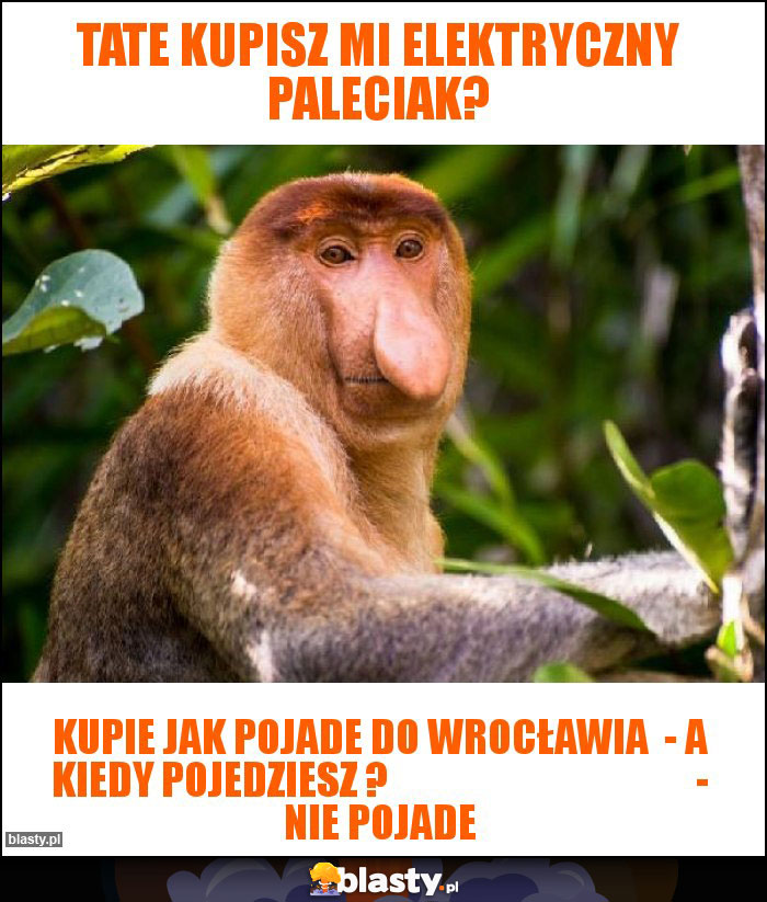 TATE KUPISZ MI ELEKTRYCZNY PALECIAK?