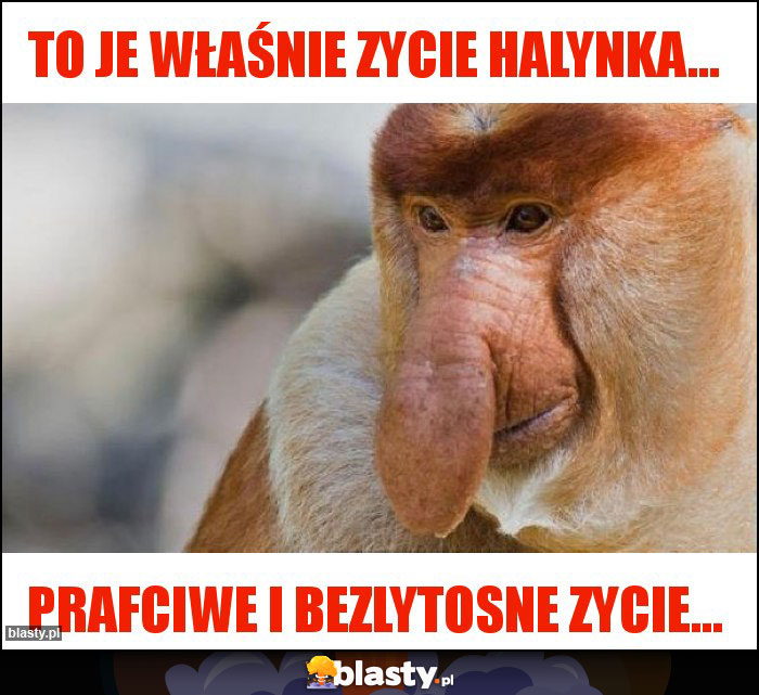 To je właśnie zycie halynka...