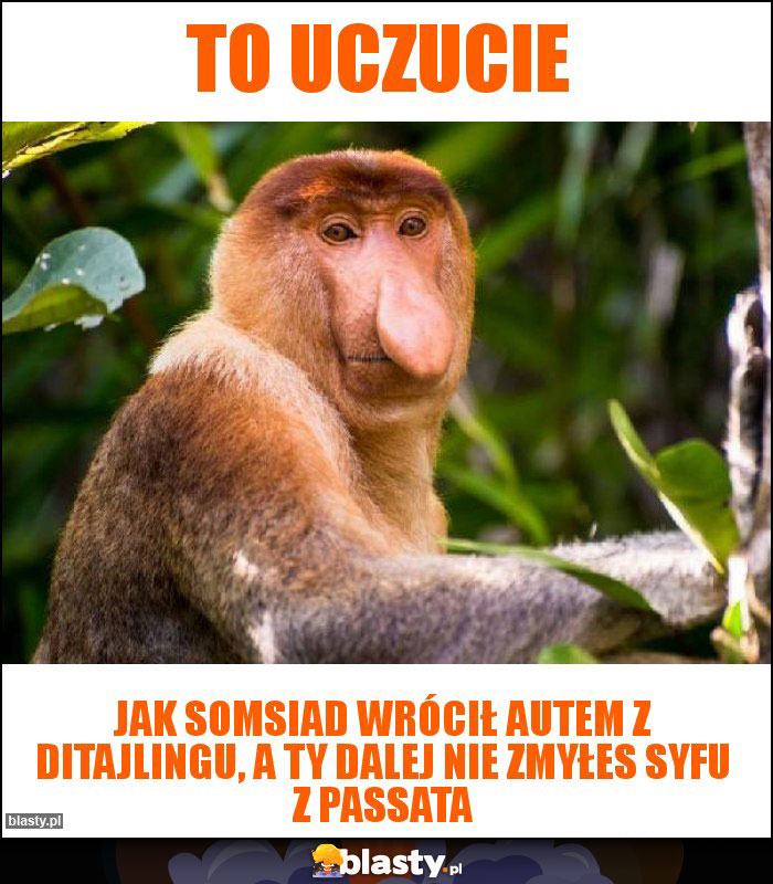 To uczucie