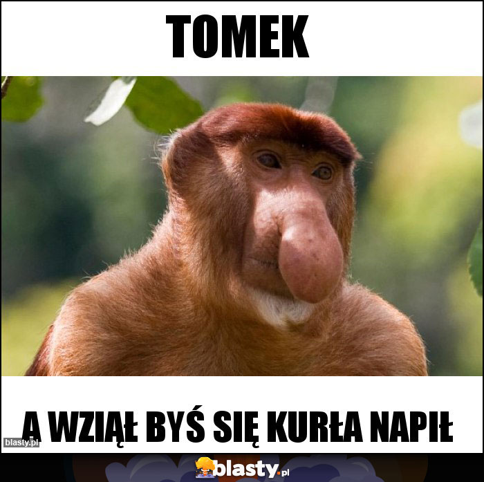 Tomek