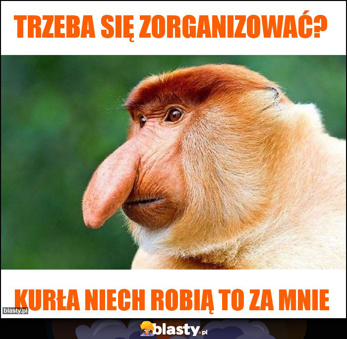 Trzeba się zorganizować?