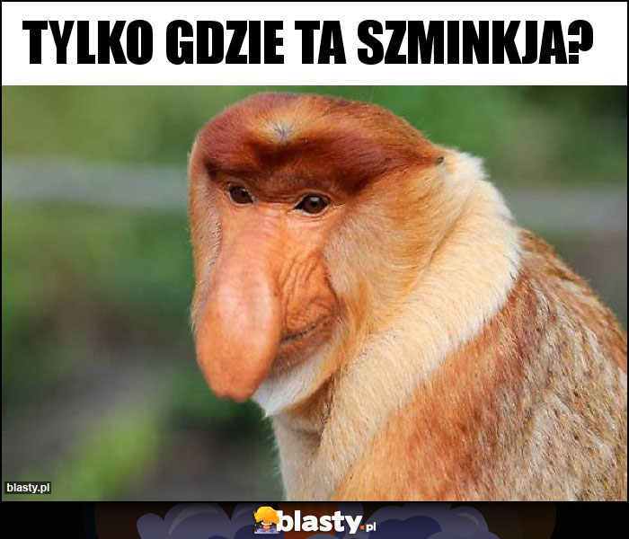 tylko gdzie ta szminkja?